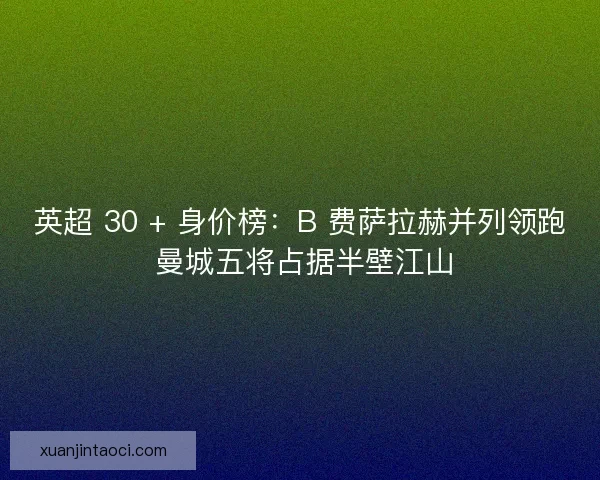 英超 30 + 身价榜：B 费萨拉赫并列领跑 曼城五将占据半壁江山
